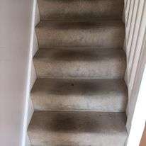 Professional-carpet-cleaning-in-High-Wycombe.jpg